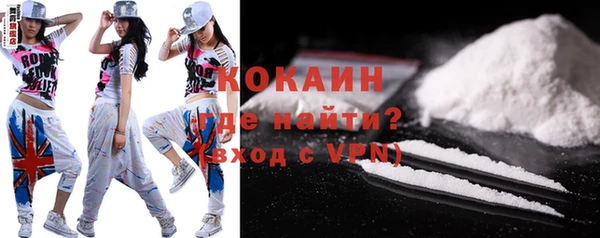 шишки Иннополис