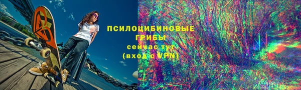 шишки Иннополис