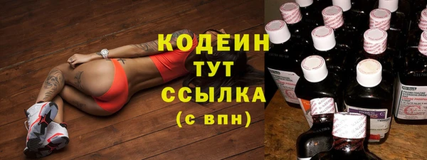 шишки Иннополис