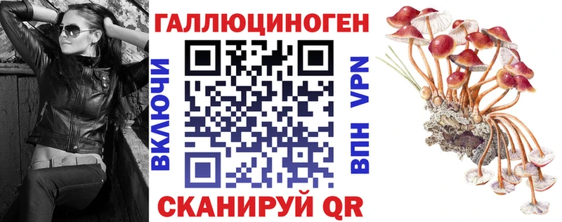 Галлюциногенные грибы MAGIC MUSHROOMS  Мичуринск 